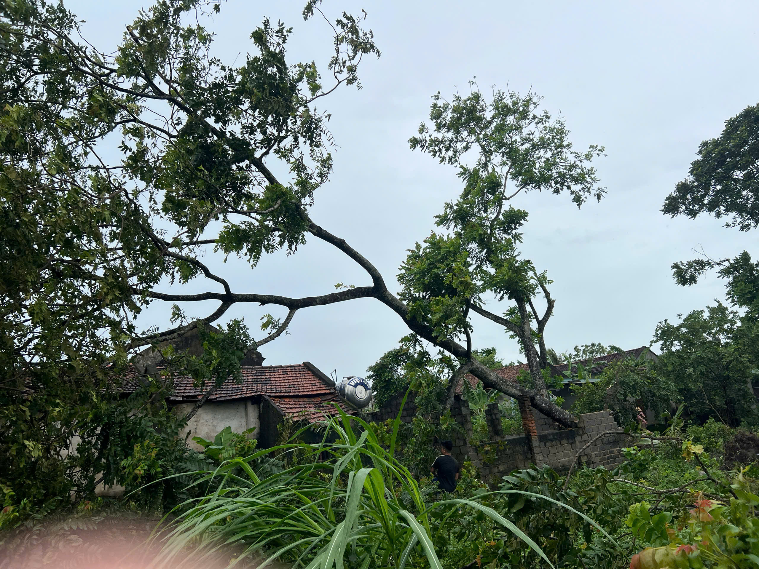 Anh-tin-bai